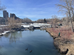 卡尔加里游记图片] 卡尔加里和平桥