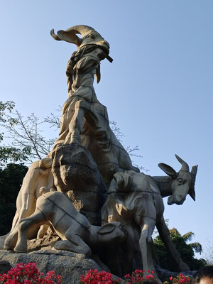 漫游广州,遇见美好