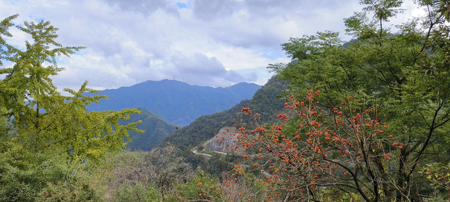 秋行四明山