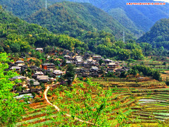 云南游记图片] 云南普洱老达保拉祜族老村落景区攻略2025.02.25