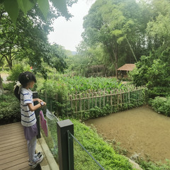 中国游记图片] 端午西山岛之行：烟雨江南里的诗意之旅