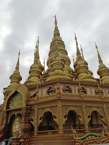 云南西双版纳原始森林公园,简直太嗨了