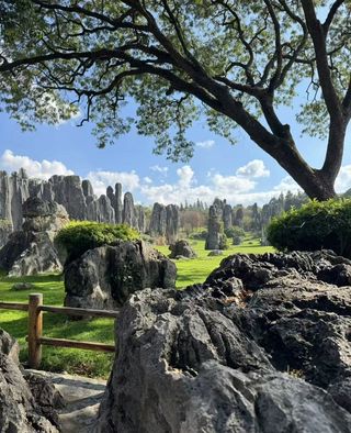 云南石林实用游玩攻略