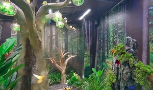 海拉尔站/客运站游记图文-海拉尔首家室内动物园， 周末溜娃好去处 !!