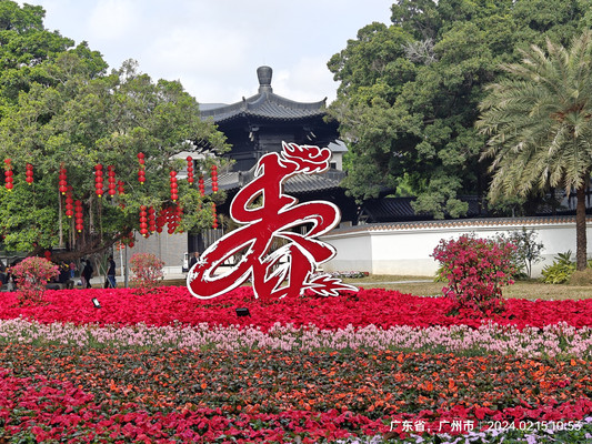 似莫奈花园的荔湾湖公园 像清泉在生活里流淌