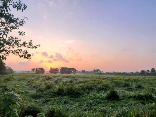 2025最新上海嘉定好玩的地方二日必去景点亲子美食攻略