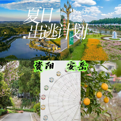 古今交融的味觉与视觉盛宴