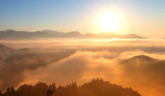 诸城游记图片] 诸城冬季的温暖