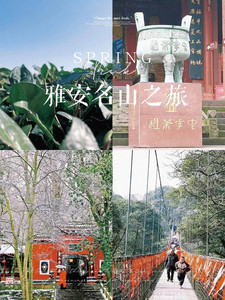 蒙顶山景区及周边游记图文-雅安|择一处清幽，斟一盏芳茗