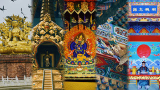 青海旅行丨在梦想成真的金色谷地,聆听那片热土穿越时光的诉说