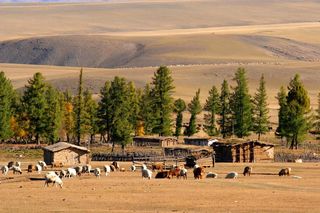 新疆行二十六. 从巴里坤到天山