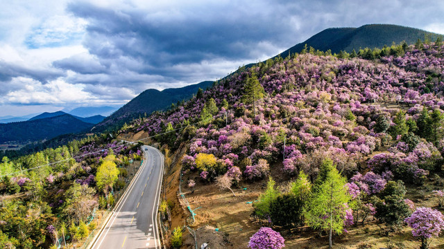 五一反向旅游：自驾香格里拉东环线，一路看雪山追花海徒步美翻天
