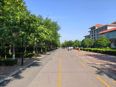 新区/东营区政府/长途汽车总站游记图片] 沿着黄河 邂逅湿地  感受蓝海服务馨风尚