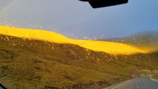 60牛虎西藏游(川藏南线进,青藏线出)之六 当雄-那木措-雁石坪-格尔木