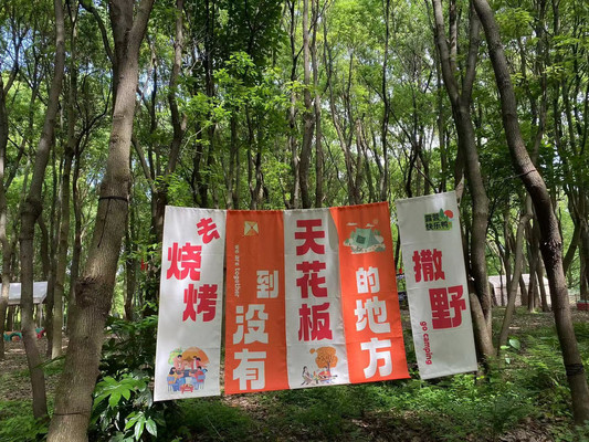 湖畔风情:树荫下的太湖烧烤之旅云梦谷