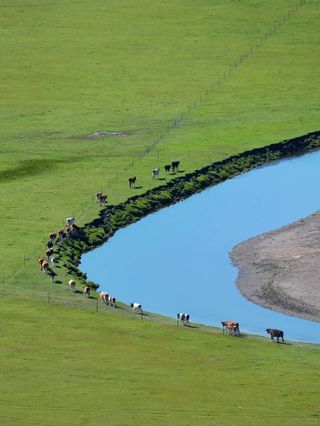 🌿 呼伦贝尔天花板 | 2025莫尔格勒免票新规!