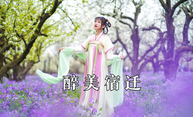 坐着高铁游宿迁,遇见醉美春日风光