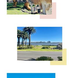 朗塞斯顿游记图文-珀斯vs墨尔本vs新西兰对比——之狂野珀斯13天全攻略，租车住宿景点一站式攻略。