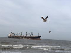 济南游记图片] 一路向东——山东行之荣城、威海、济南、泰安