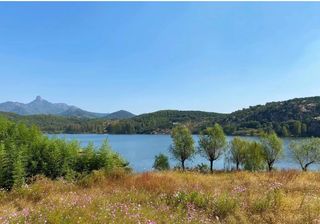 立秋了，来松月湖赏秋景吧