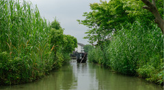 沙家浜风景区游记图片] 漫游常熟沙家浜，品味水乡旧时光