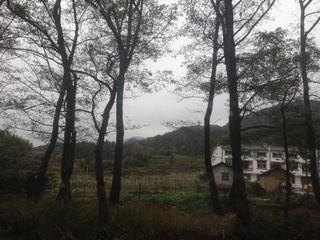 紫堤农场，隐世的桃源——六安4日（4）