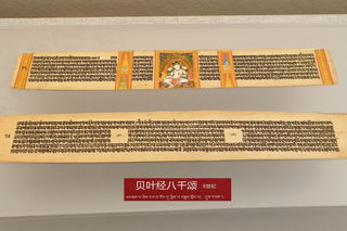 观展寻宝系列游记之九：西藏博物馆、山南市博物馆