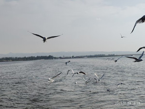 乌拉特前旗游记图文-2025年国庆——内蒙故地重游