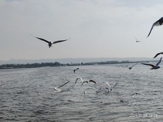 2025年国庆——内蒙故地重游