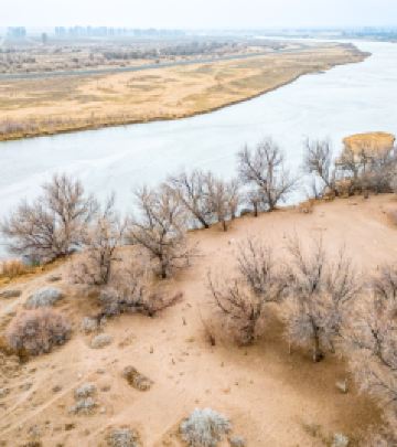 民勤游记图文-甘肃民勤二日游：亚洲最大沙漠水库/鸟的天堂/奇幻沙漠雕塑/摘星小镇