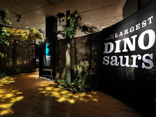世界最大恐龙展 | 5月26日加州科学院隆重登场!