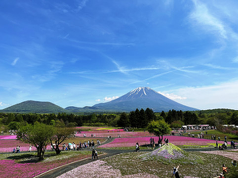 富士山游记图文-富士山2023年5月七天游