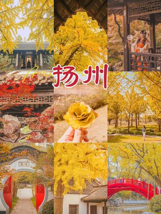 忆扬州晚秋|慢旅行必做的九件小事