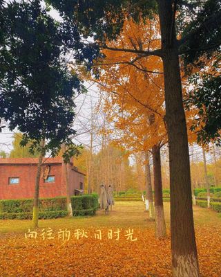 “花坞御景园:氛围宁静  心灵归宿”