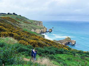 达尼丁游记图文-2024年8月“长白云之乡”新西兰游记（四）但尼丁、奥马鲁、二刷奥克兰
