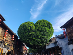 武夷山风景区游记图文-游在福建，体会闽南风情