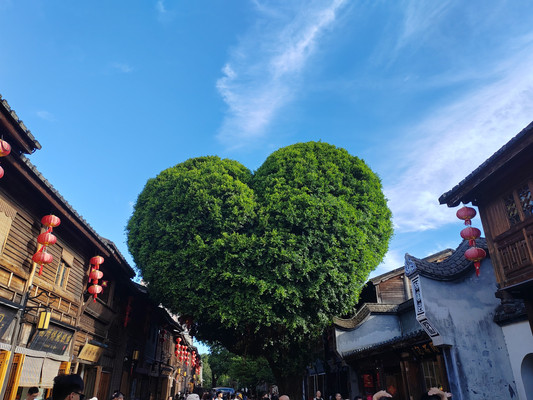 游在福建,体会闽南风情