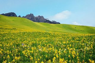 暑假毕业旅行一个人怎么从成都到理塘格聂南背包旅游去