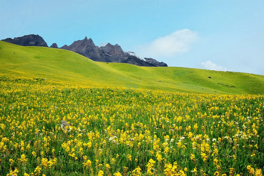 暑假毕业旅行一个人怎么从成都到理塘格聂南背包旅游去