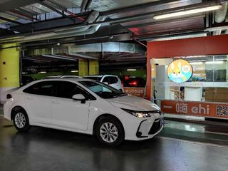 不一样的河南行 关于郑州、洛阳