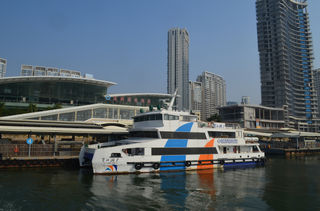 厦门 冬 2024年1月上旬 5