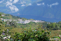 凤庆游记图片] 云南临沧凤庆县大寺乡澜沧江小湾电站库区姚青春照片