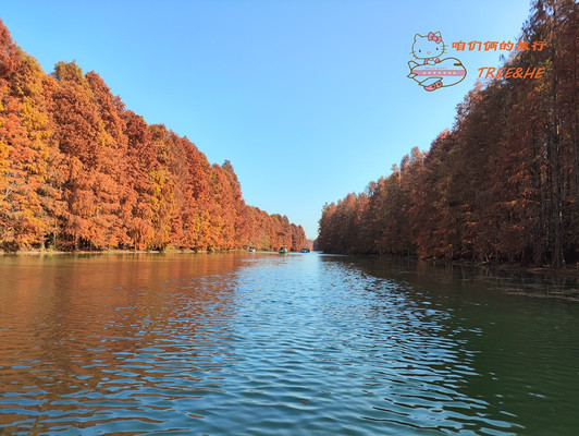 咱们俩的旅行—2023暖冬日海湾国家森林公园