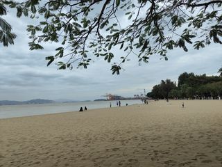 初冬来厦门避寒 感受温暖厦门