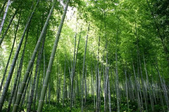 连城游记图片] 佰翔秘谷酒店：暑期三天两晚的避暑逸趣