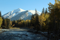 喀纳斯风景区游记图片] 北疆赏秋纪实230923-231002