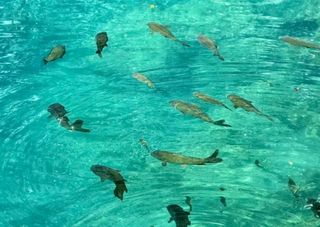 闯入人间绿宝石！打卡瑶山古寨+小七孔秘境，附超全拍照避坑指南