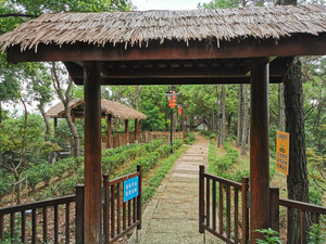 老余杭地区游记图文-杭州登山线路之卅一：临平山行迹