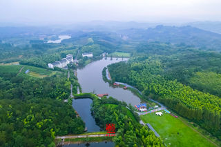 森林里的光影盛宴“神隐岚山”，溧阳岚峰山再添夜游数字文旅项目