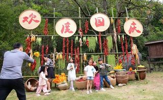 常德桃花源景区游客接待量迎“井喷”式增长